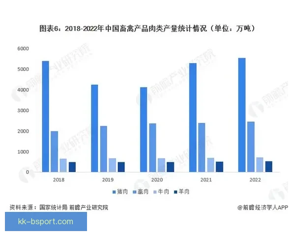 亚洲杯赛事竞争格局重塑下的亚洲足球新秩序全景解析趋势前瞻